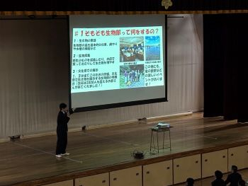 seibutu 